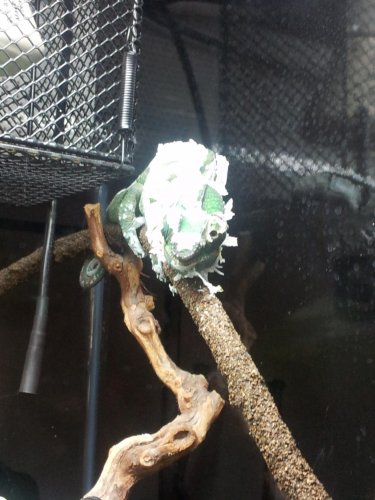 2012-02-11 09.58.32.jpg