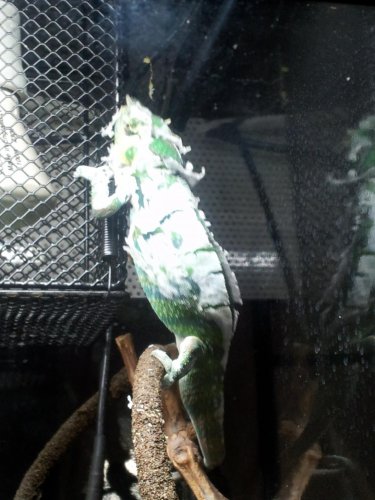 2012-02-11 09.58.42.jpg