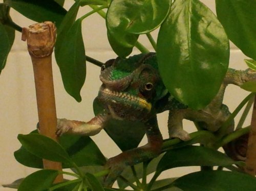 2012-02-12 20.23.40.jpg