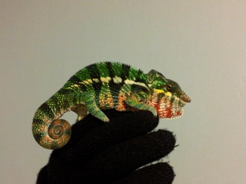 2012-02-12 20.25.40.jpg