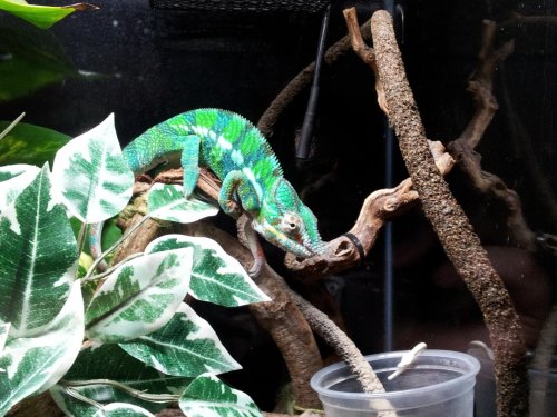 2012-02-13 09.10.18.jpg