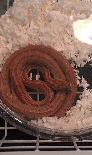 IMAG0133.jpg