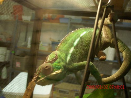 mitsio and home 043.jpg