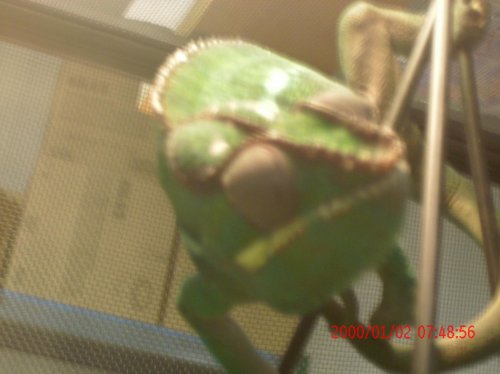 mitsio and home 045.jpg