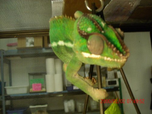 mitsio and home 050.jpg