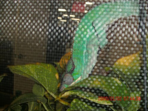 mitsio and home 036.jpg