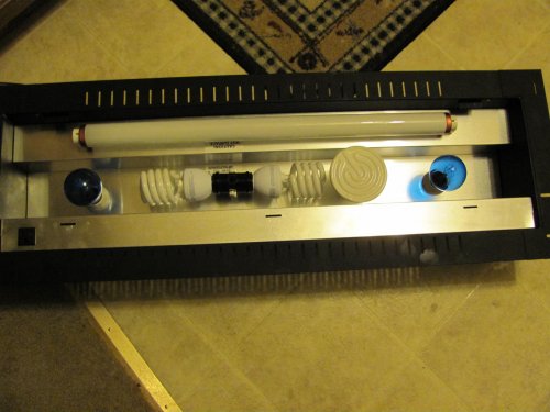 Hood setup 001.jpg