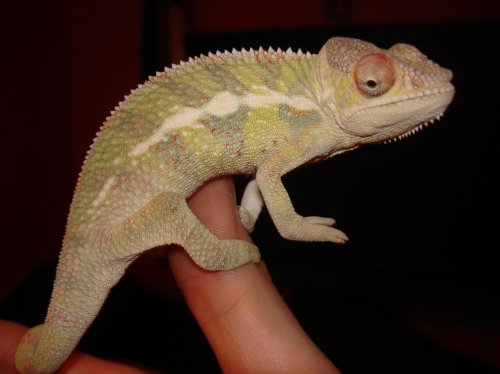 I floyd 3.75 months.jpg