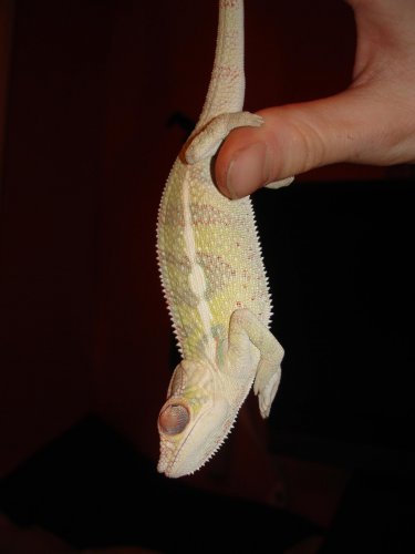 J floyd 3.75 months.jpg