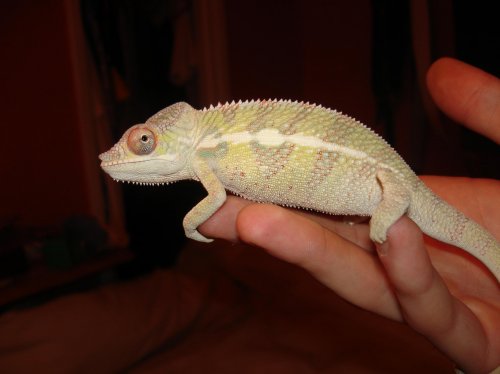 K floyd 3.75 months.jpg