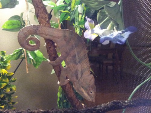 2012-02-16 19.22.31.jpg