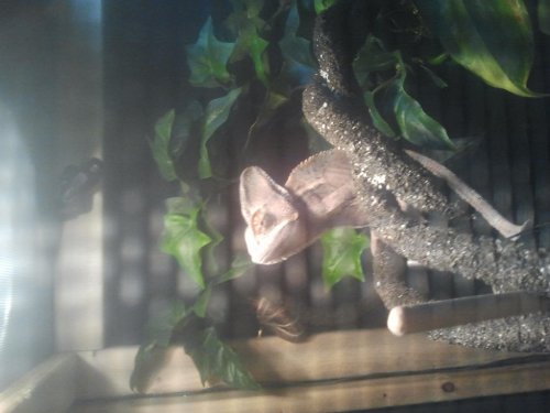 2012-02-17 20.31.32.jpg