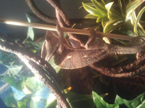 2012-02-17 20.41.30.jpg