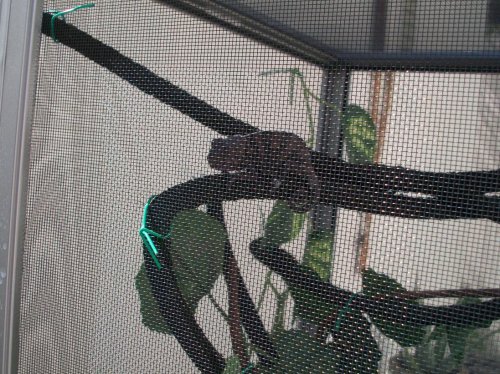 100_4800.jpg