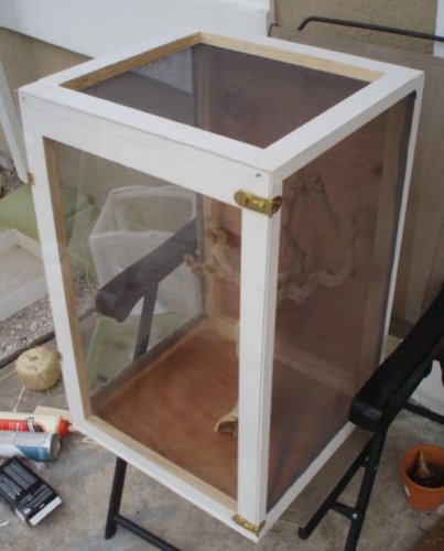 Building cage 5.jpg