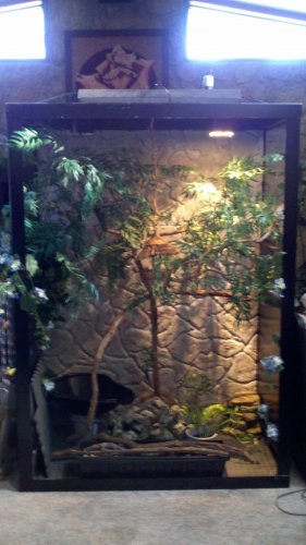 2011-11-17_13-45-36_319.jpg