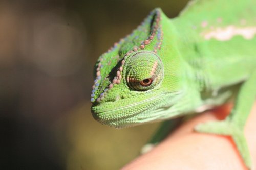 IMG_0150.jpg