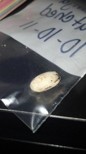 2012-02-23_15-28-23_225.jpg