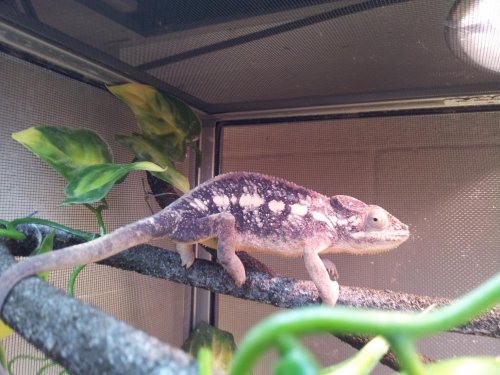 20120223_182522.jpg