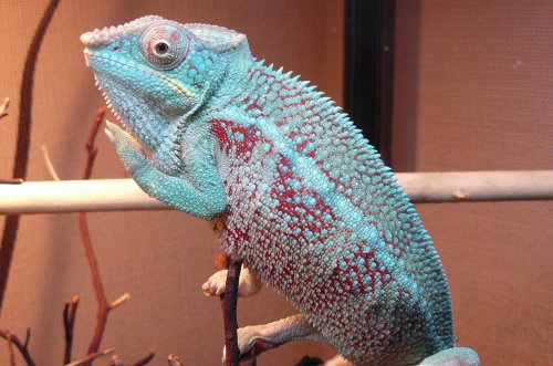 wc ambanja5.jpg