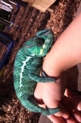 Mr. Bojangles outside.jpg