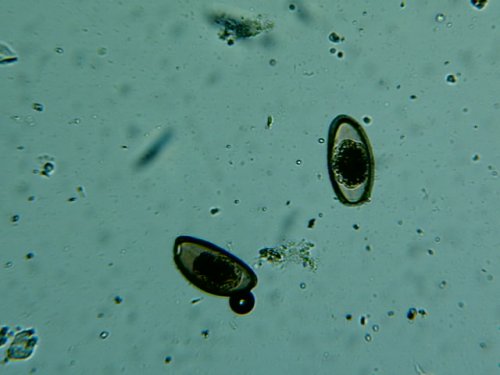 Img00004.jpg