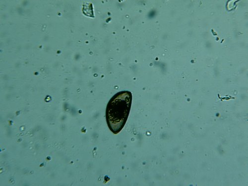 Img00012.jpg