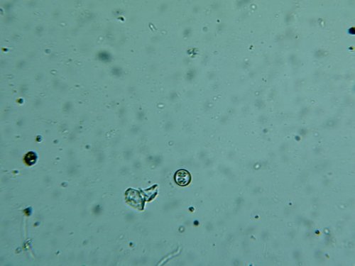 Img00024.jpg
