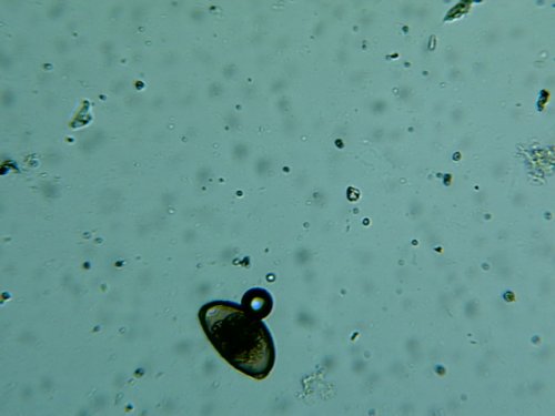 Img00028.jpg