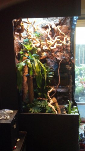 2012-02-25_16-30-47_107.jpg