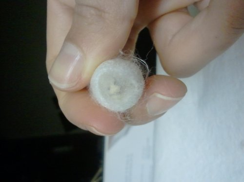 New Image9.jpg