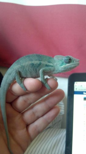 2012-02-25_14-36-17_223.jpg
