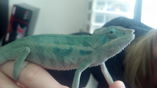 2012-02-28_11-28-53_776.jpg