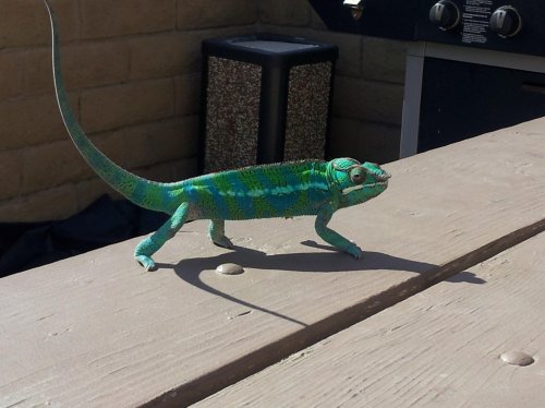 20120129_120050.jpg