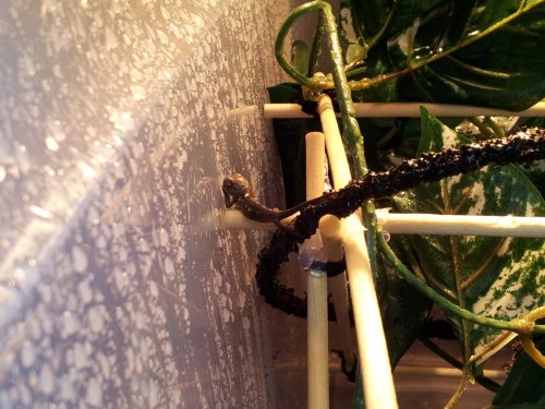 20120301_114302.jpg