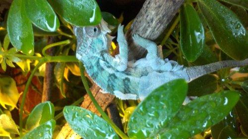 2012-02-28_11-29-53_129.jpg