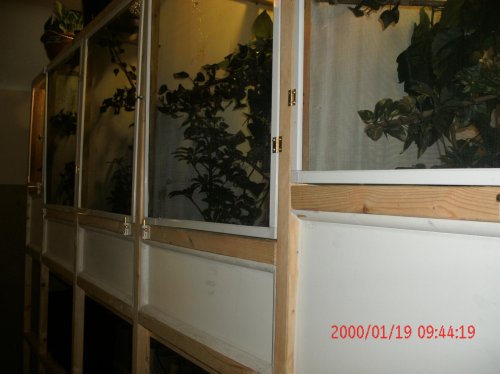 New cage 2 001.jpg