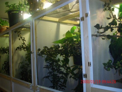 New cage 2 002.jpg