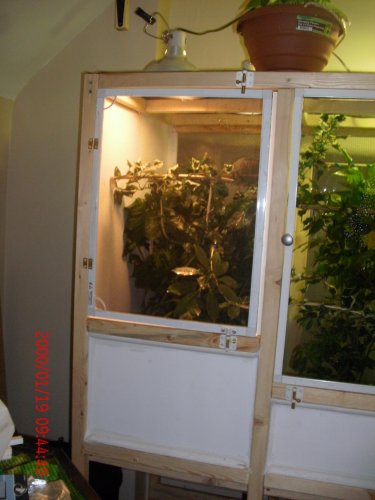 New cage 2 003.jpg