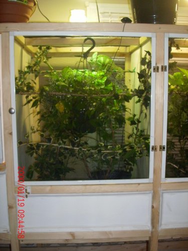 New cage 2 004.jpg
