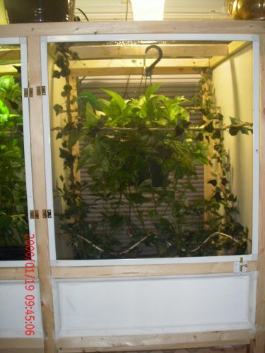 New cage 2 005.jpg