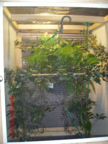New cage 2 006.jpg