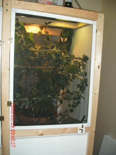 New cage 2 007.jpg