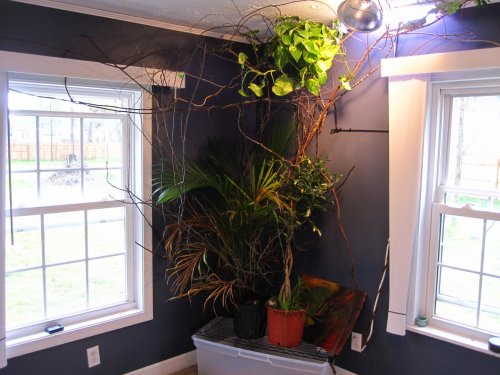IMG_0506.jpg IMG_0506.jpg