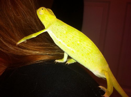 Phone Pics Nov 2011 057.jpg