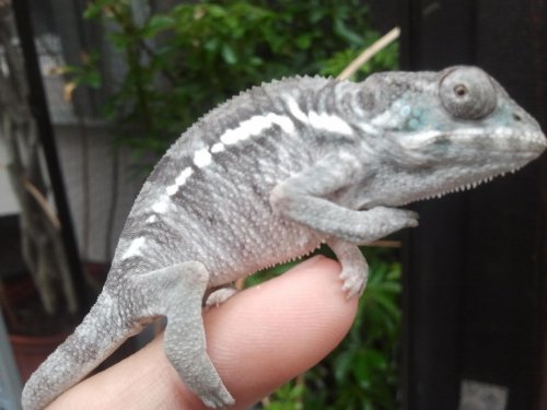 2012-03-04 11.04.00.jpg