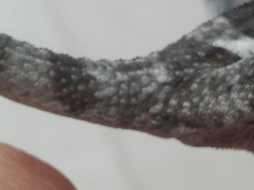 2012-03-04 11.02.34.jpg