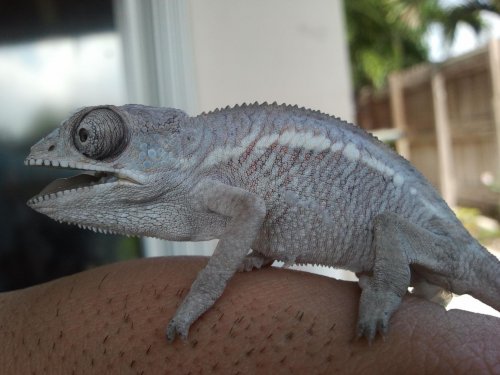 2012-02-19 12.36.41.jpg