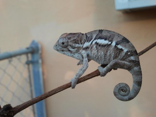 2011-12-26 16.54.13.jpg