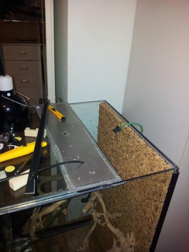 2012-03-05 21.09.09.jpg